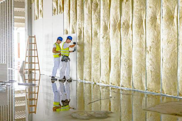 Best Insulation Removal Services  in Cressona, PA